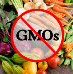 GMO – tudod mi az?